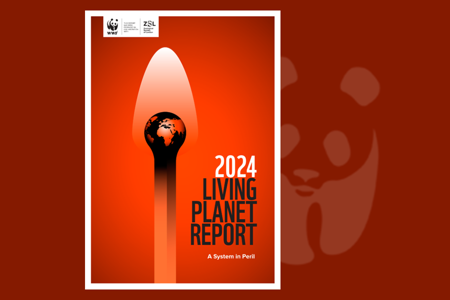 Living Planet Report 2024 Warns Of a System In Peril